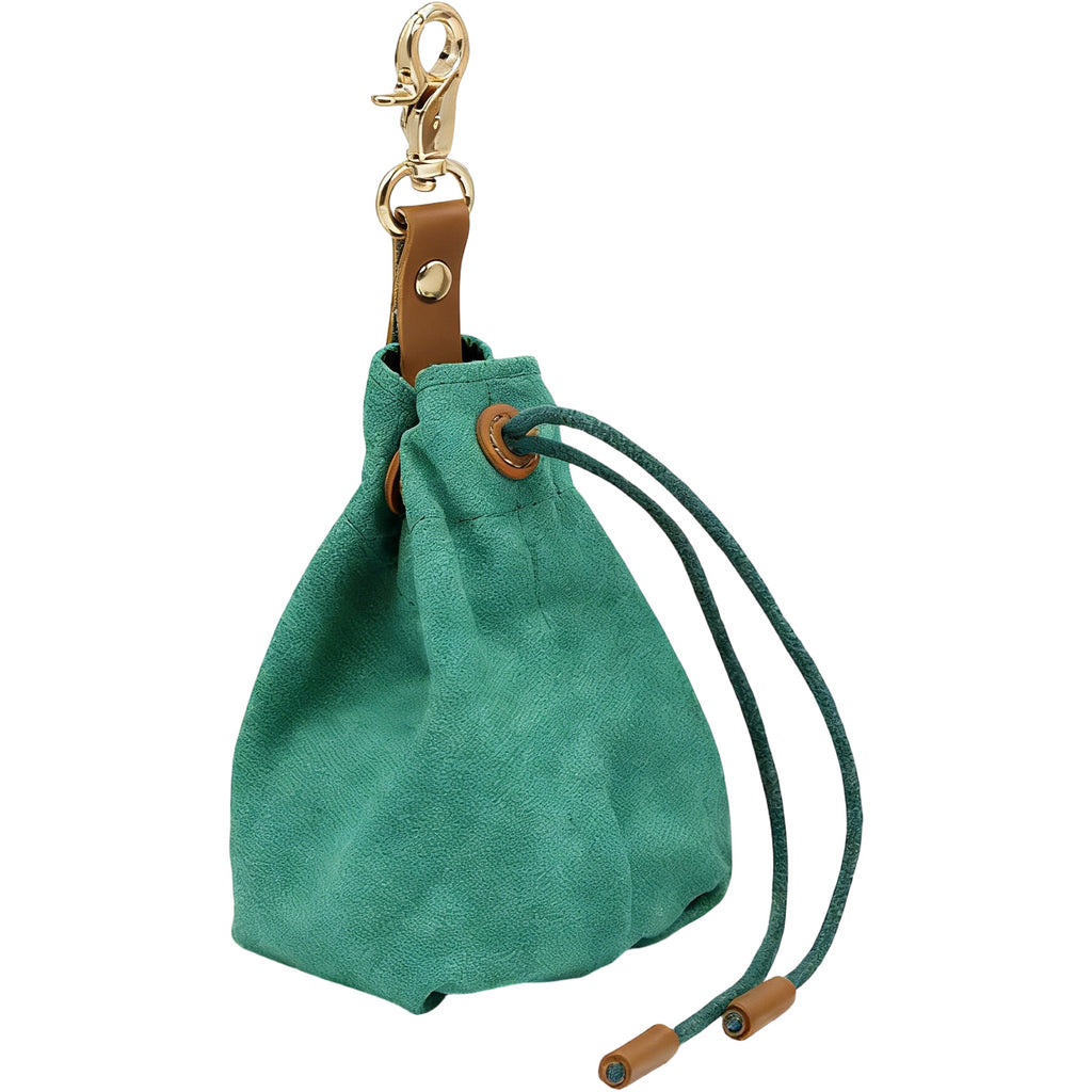 Pet Food Storage Bag, Waterproof Thick Canvas Treat Pouch Portable Carrier for Outdoor Training