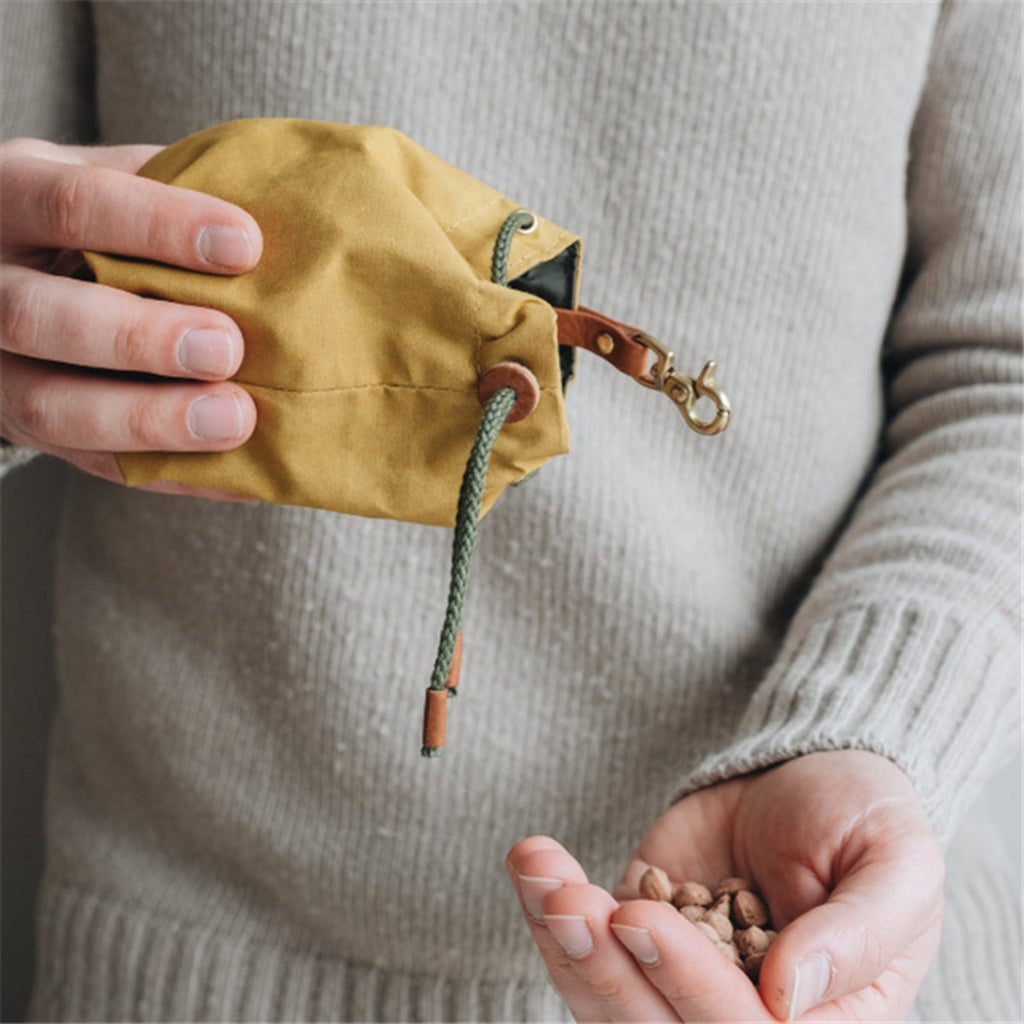 Pet Food Storage Bag, Waterproof Thick Canvas Treat Pouch Portable Carrier for Outdoor Training