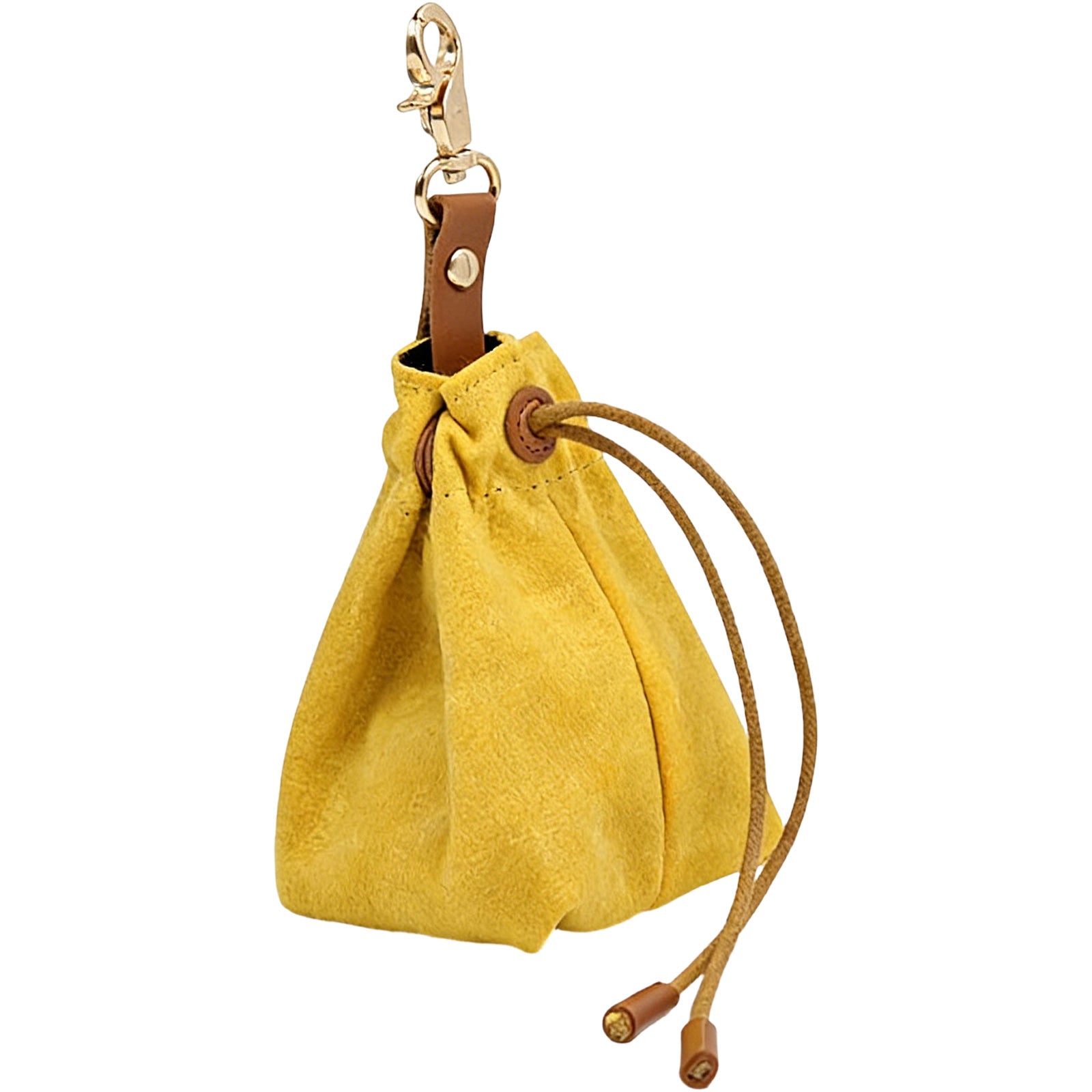 Pet Food Storage Bag, Waterproof Thick Canvas Treat Pouch Portable Carrier for Outdoor Training